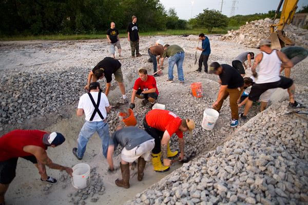 Turf Surprise Discovery